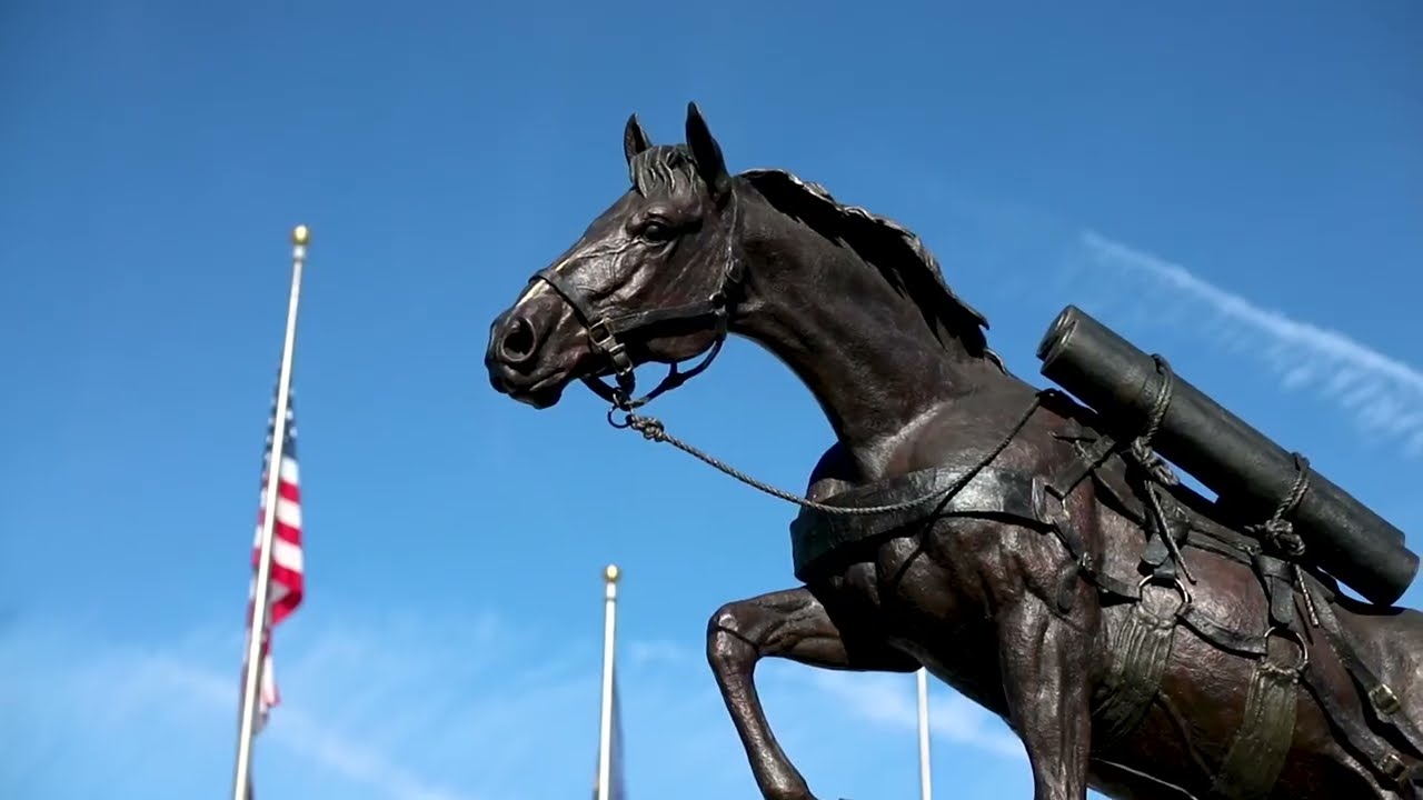 Ride the Wave Premier Horse Sale