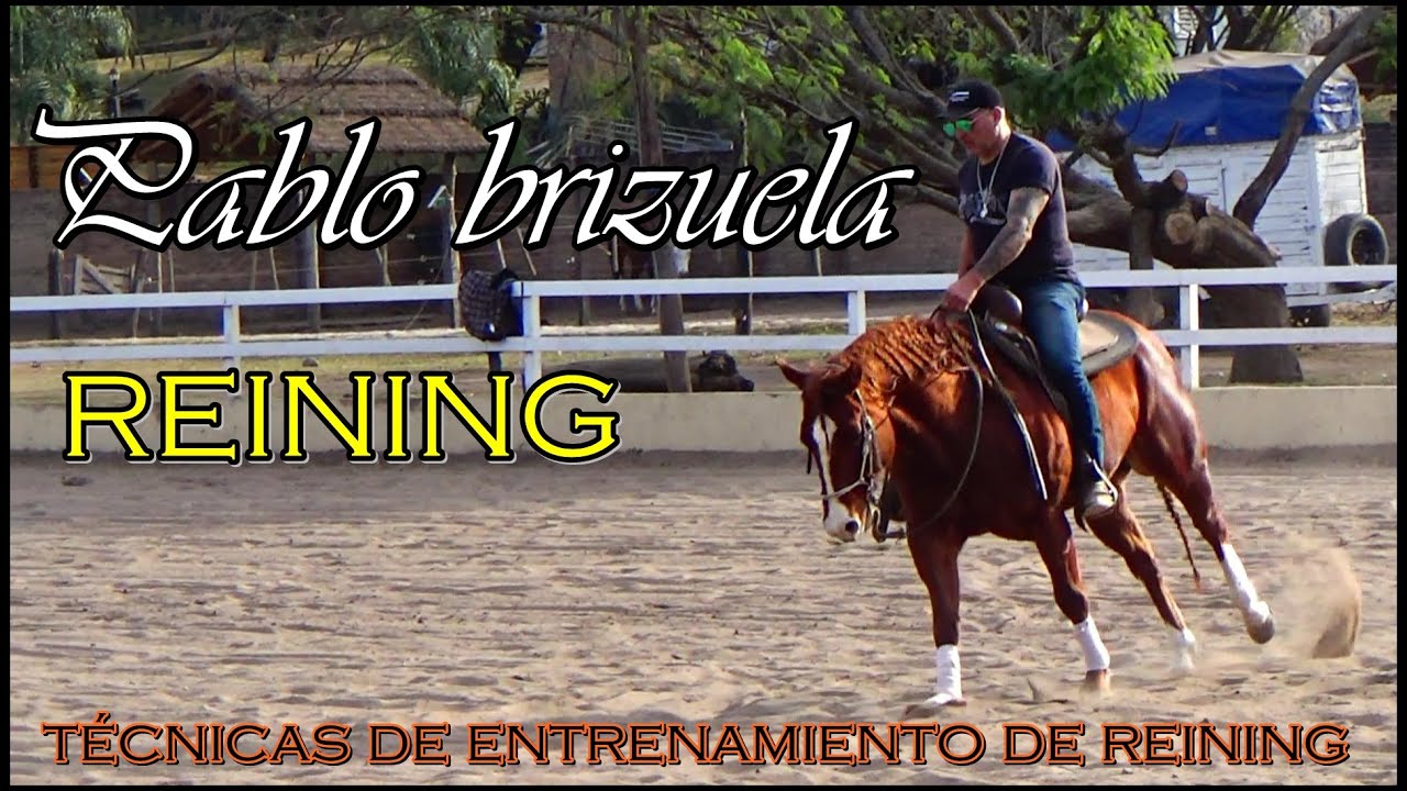 TÉCNICAS DE ENTRENAMIENTO DE REINING