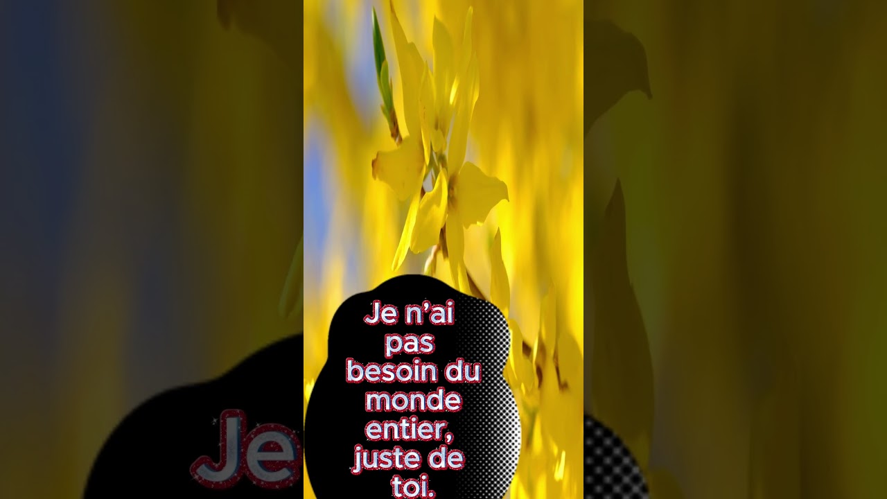 MidnightEcho Toujours Toi EP français nouvelle musique 