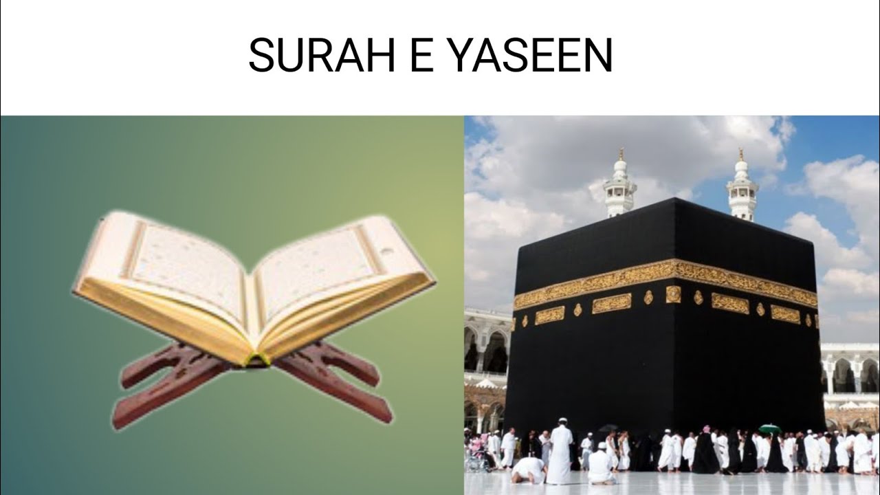 #suraheyaseen#islamicvideo #quranchapter #quransurah #quraniayat
