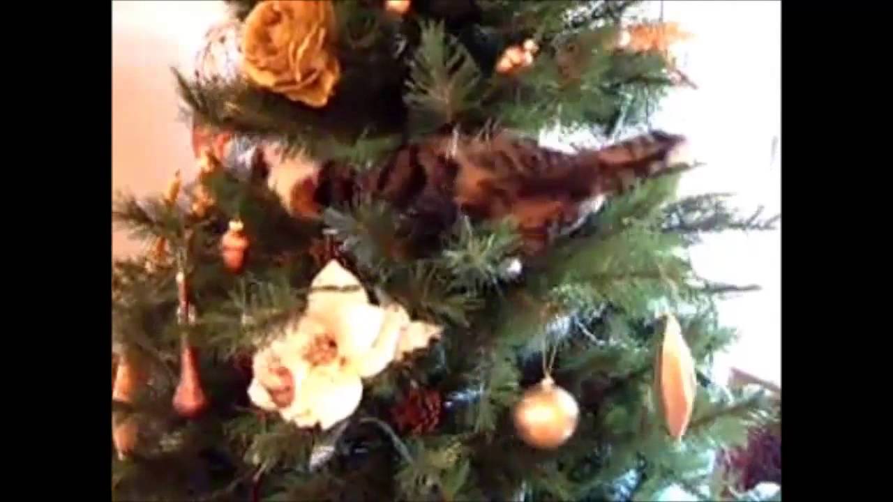 ✔ Funny videos Cats 2014 - Fails Compilation 2014