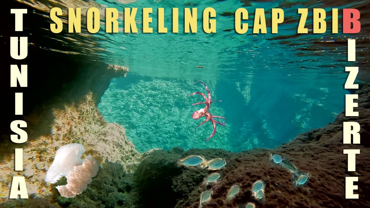 Snorkeling - plongée en apnée - at Cap zbib Bizerte Tunisia غطس بحر كاب زبيب