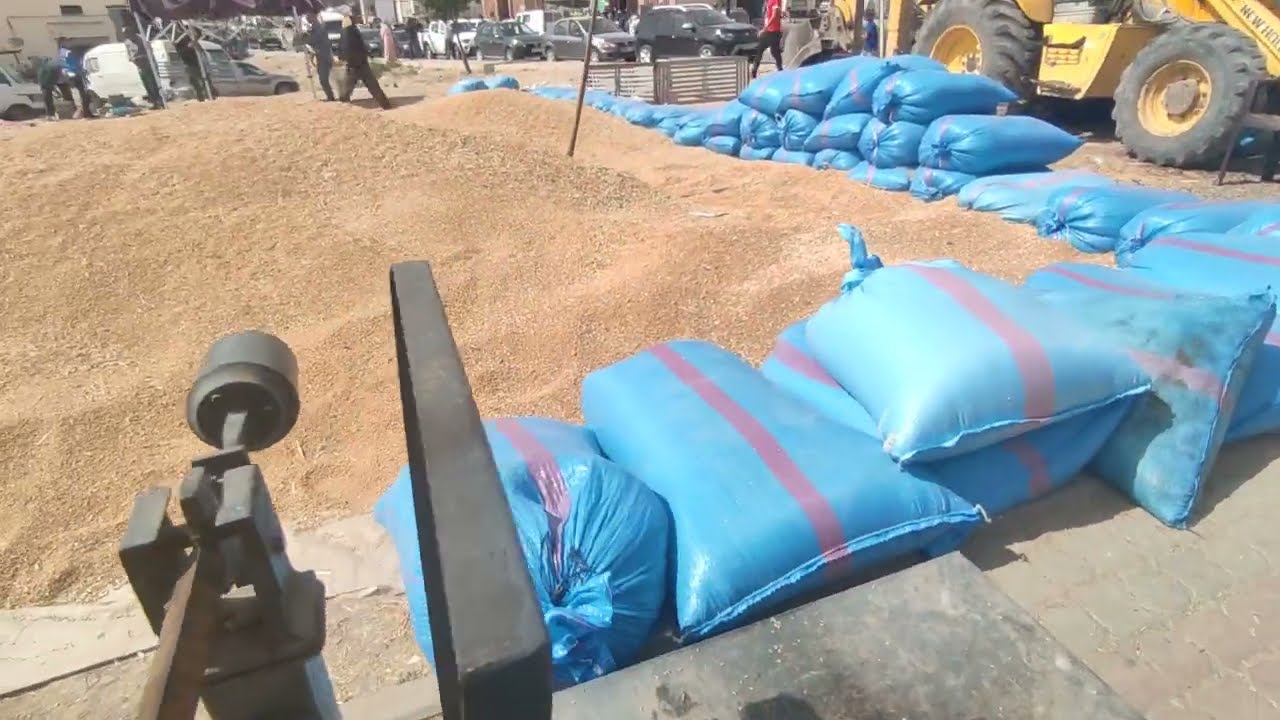 ثمن الزرع الجديد 2.80 درهم سوق ثلاتاء قرية با محمد هدا الصباح 02/05/2023