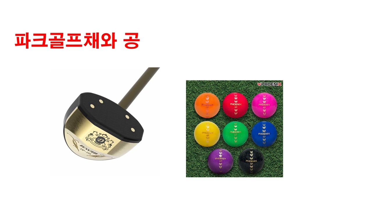 파크골프 실무의  기초적인 이해를 위해 기본개념,장비,코스소개를 비롯해 파크골프 지도자 숙지사항 등 아주 기본적인 내용 소개