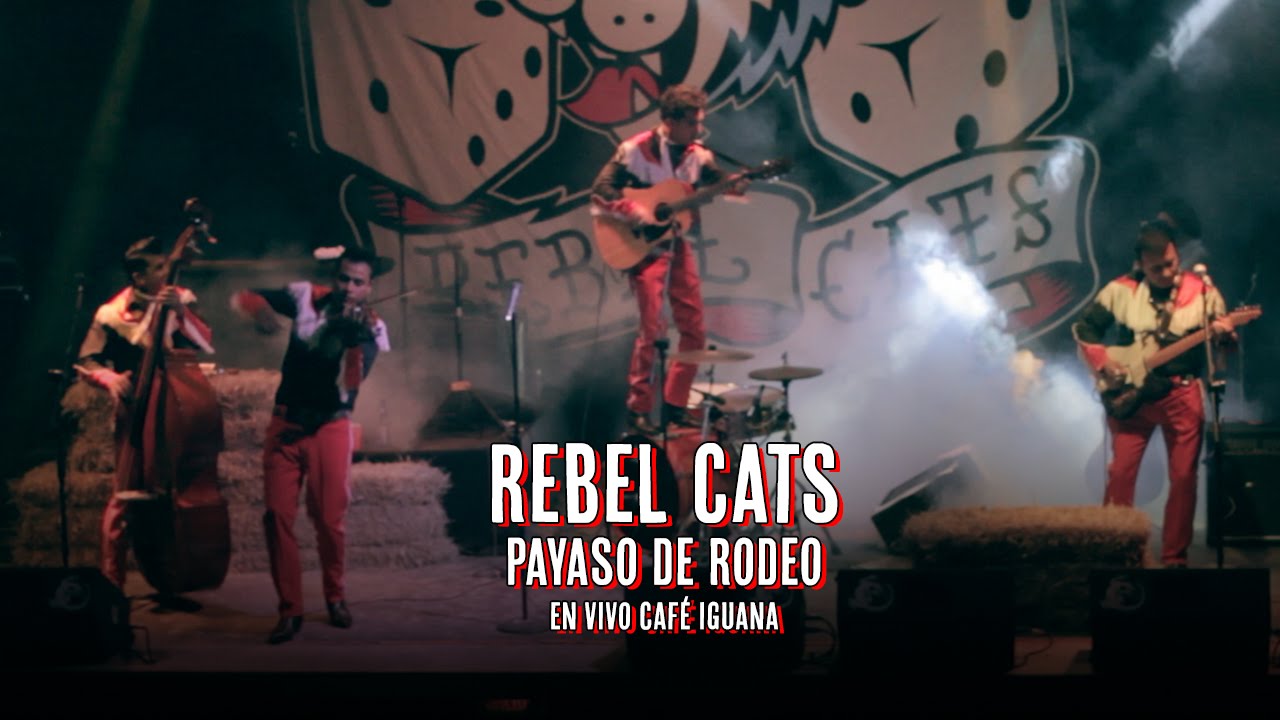 Rebel Cats - Payaso de Rodeo - Café Iguana