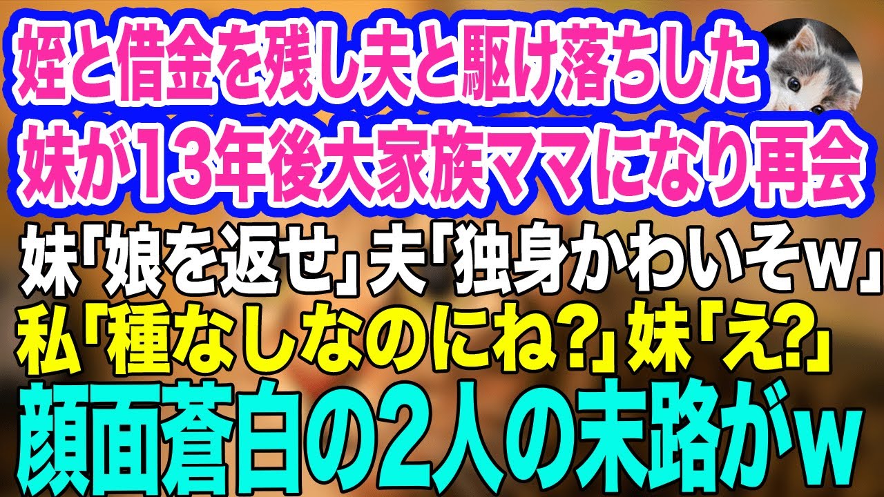 姪と多額の借金を残し夫と駆け落ちした妹と13年後、偶然の再会「娘を返せｗ」夫「独り身かわいそーｗ」私「種なしなのにね？」妹「えっ？」→顔面蒼白の2人の末路がｗ【スカッとする話】