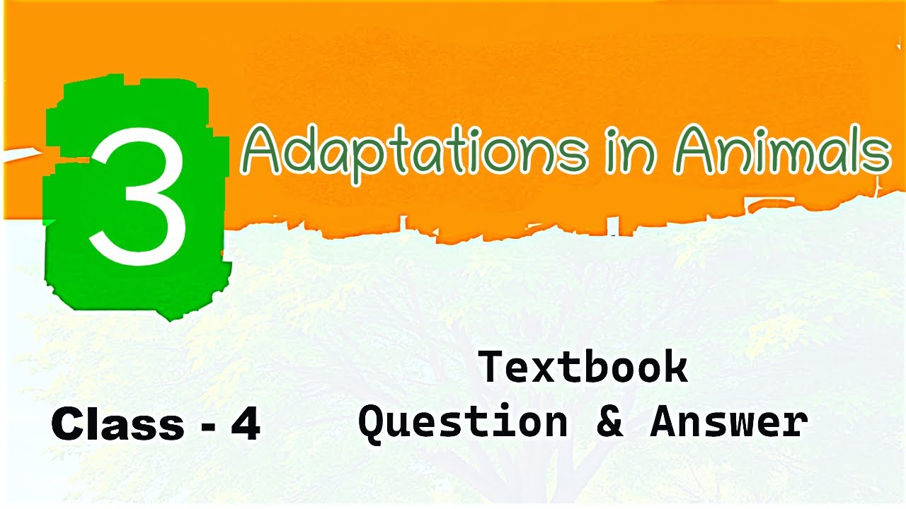 Adaptations in Animals 🐾 | Class 4 EVS |  Textbook Q&A | CBSE 2025 Exam Prep | Easy Explanation