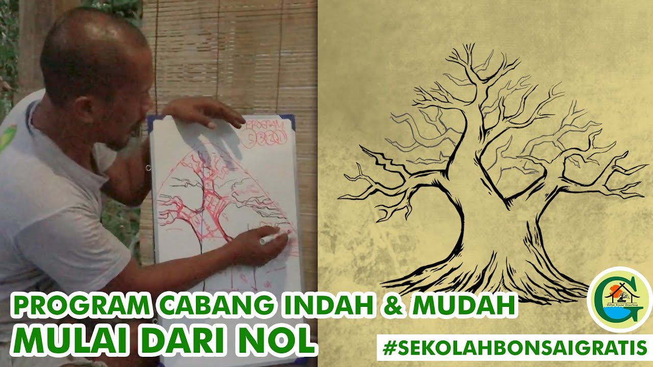 BELAJAR PROGRAM CABANG INDAH DAN MUDAH MULAI DARI NOL ALA BOWONGSO || #SEKOLAHBONSAIGRATIS
