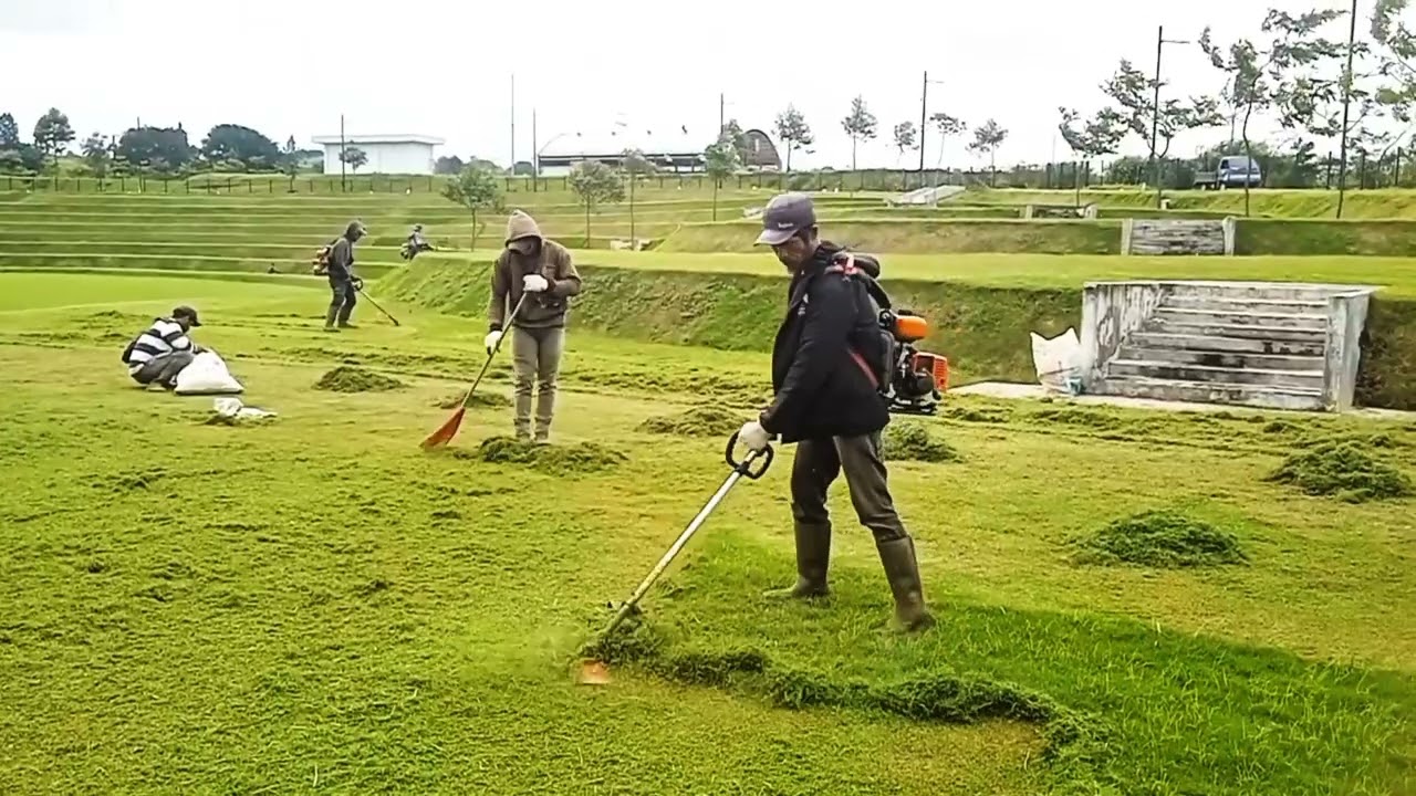 PERAWATAN DAN PEMOTONGAN RUMPUT #pemotonganrumput