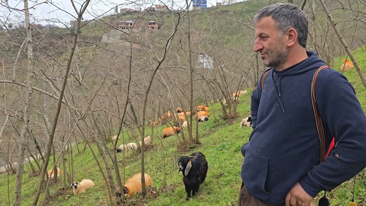 Doğayla iç içe, alın teriyle geçen bir ömrün hikâyesini Rızvan abimizden dinledik.İyi seyirler…