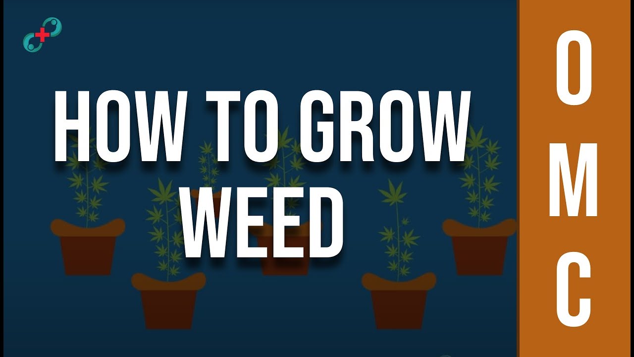 How to Grow Weed with a Medical Marijuana Card in California?