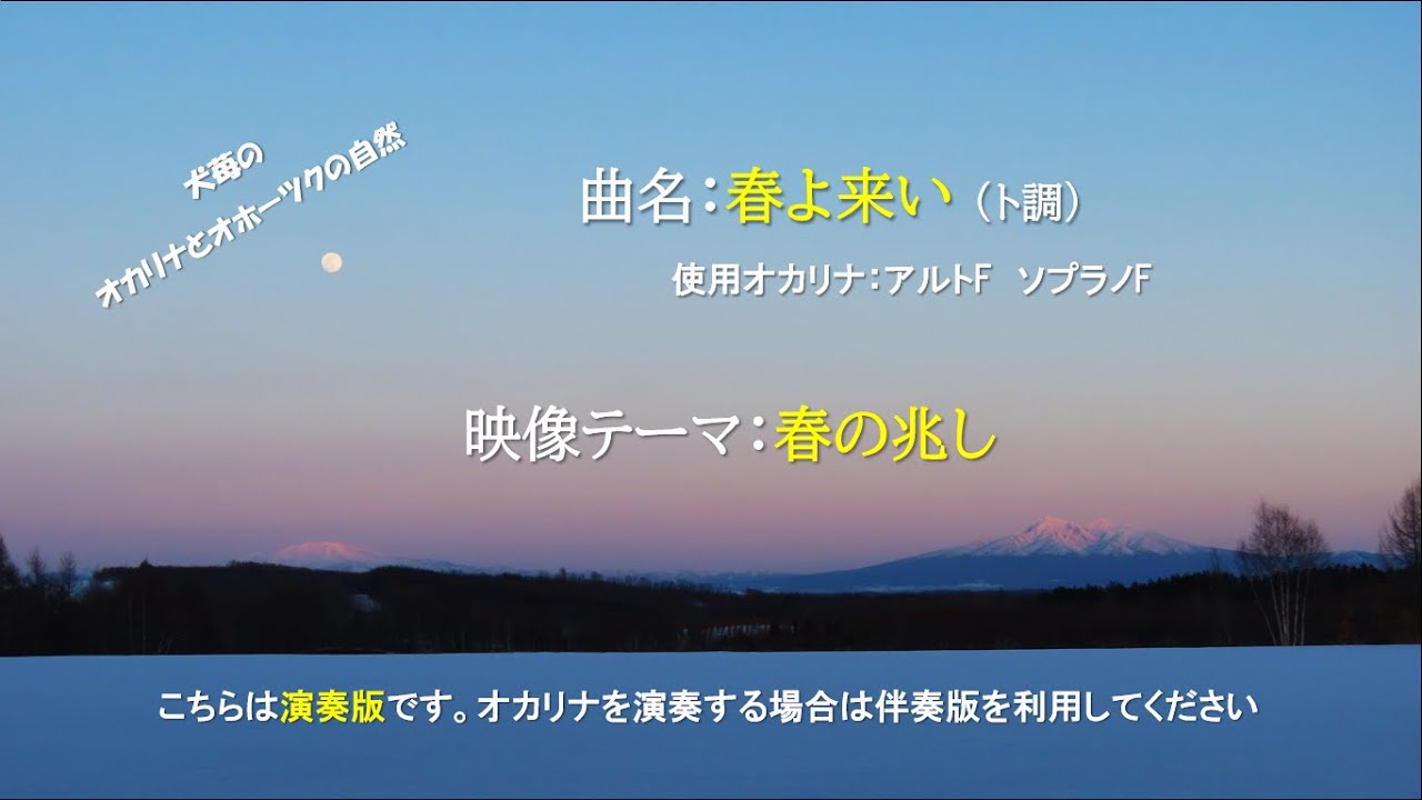 春よ来い(春の兆し)演奏