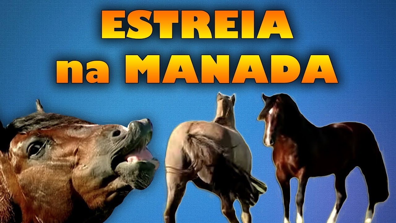 GARANHÃO pela primeira vez na MANADA- Cabanha Cala Bassa