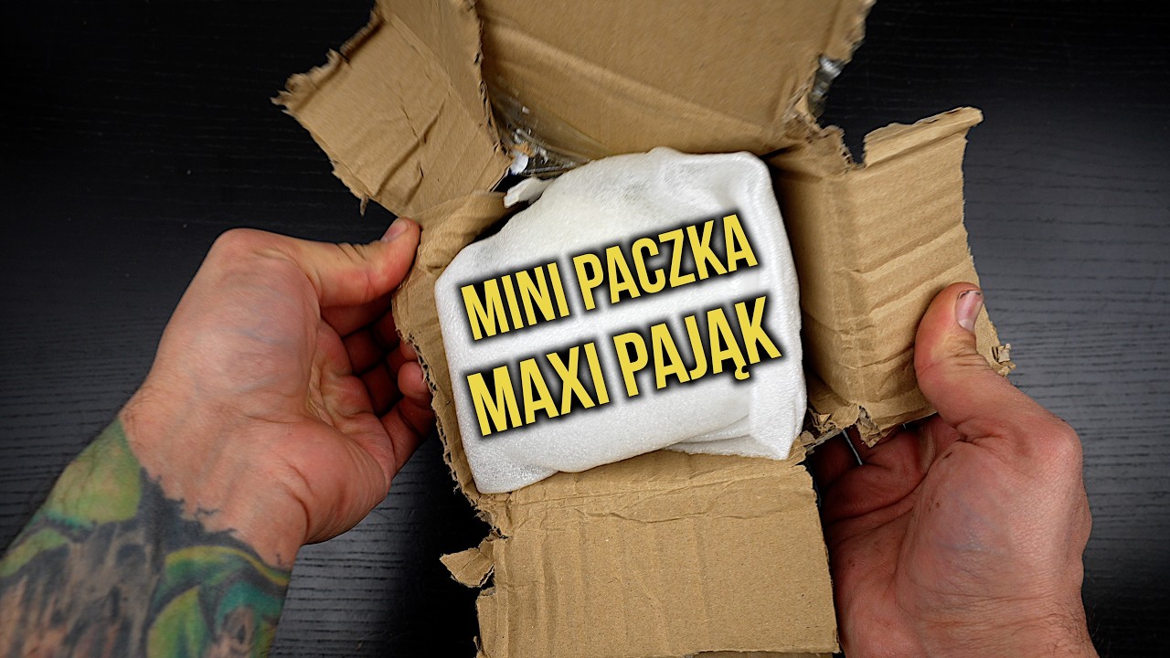 Karmienie i ogarnianie hodowli + paczka Z GOLIATEM 😮