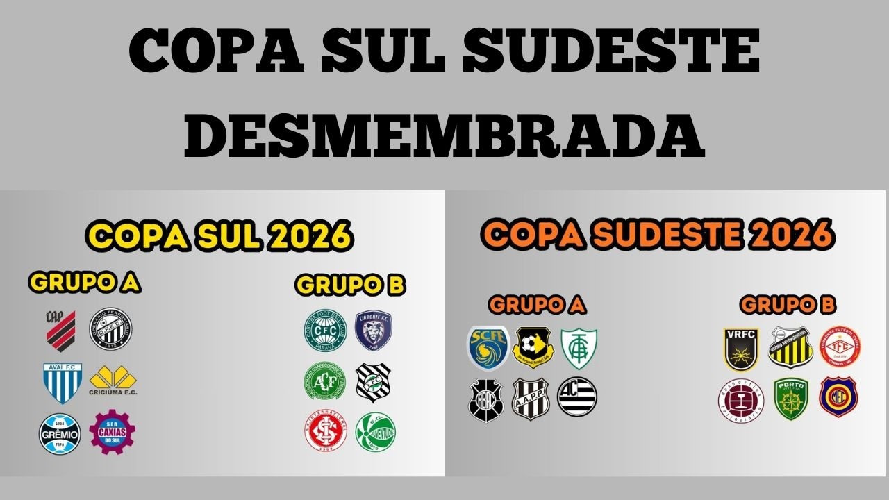 E SE A COPA SUL SUDESTE FOSSE SEPARADA?