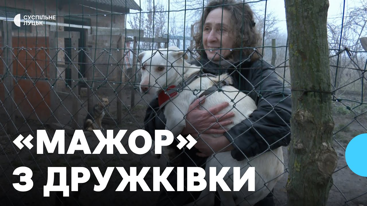 Порятунок тварин із прифронтових територій: як волонтерка з Волині прилаштовує собак