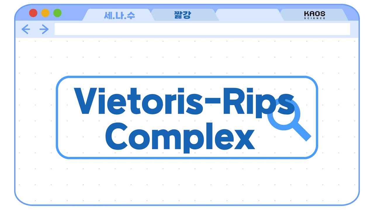 [카오스 짧강]  Vietoris-Rips Complex