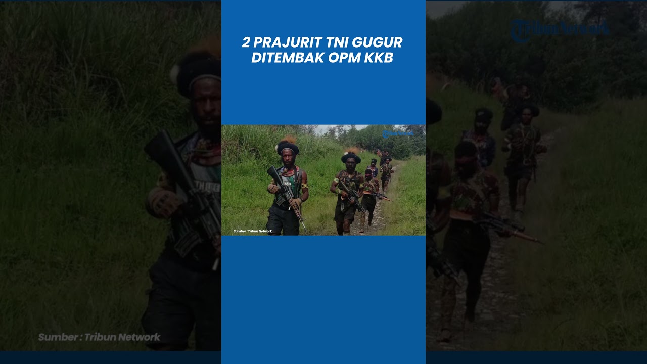 Kontak Tembak TNI Vs OPM KKB Papua, 2 Prajurit Gugur