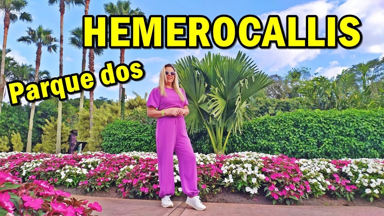 O que fazer em Joinville SC - PARQUE DOS HEMEROCALLIS