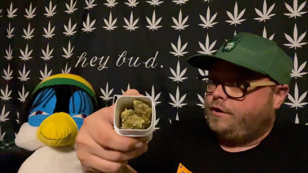 Tangerine Haze Review