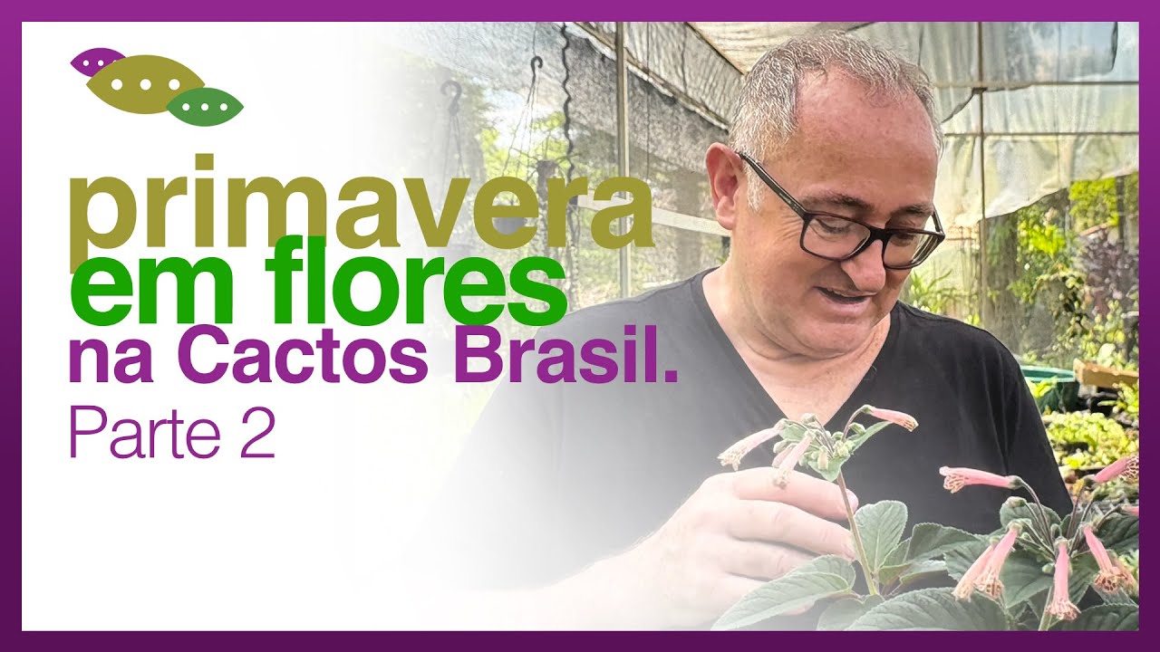 CACTOS BRASIL e as FLORAÇÕES das Plantas Aquáticas, Cactos e Sinningia - Parte 2