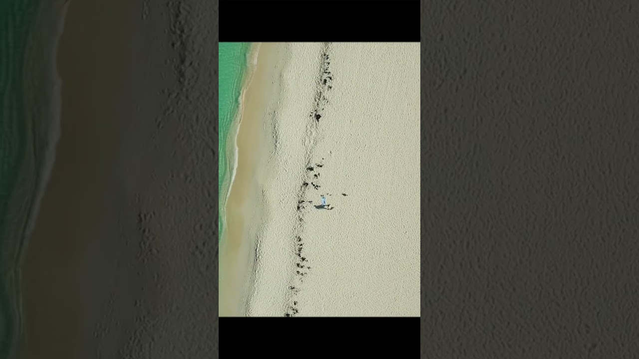 Aruba#Eaglebeach#DJIMinipro3#shorts