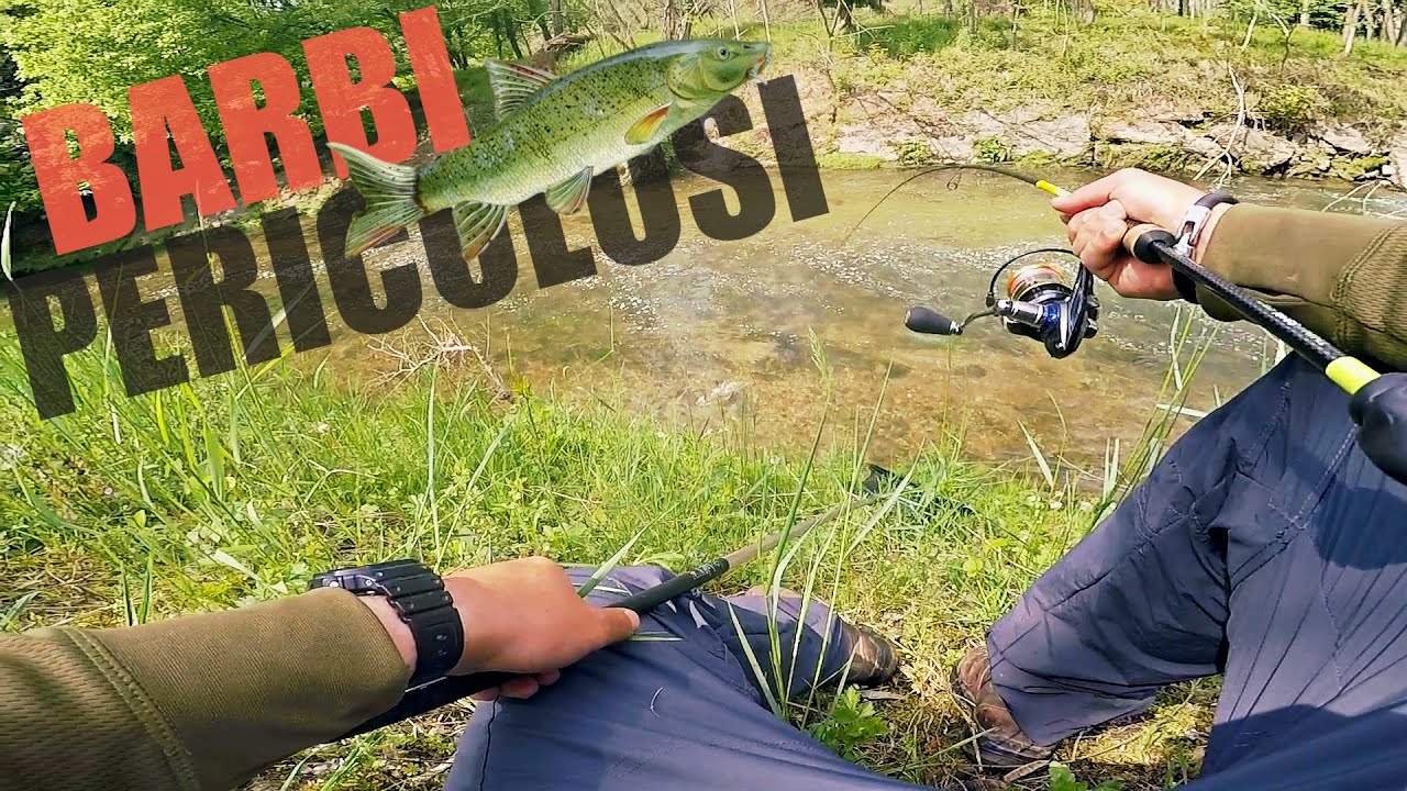 BARBI ESTREMI - Pesca al Barbo Ultralight con ESCA NATURALE ( LOMBRICO 🪱)