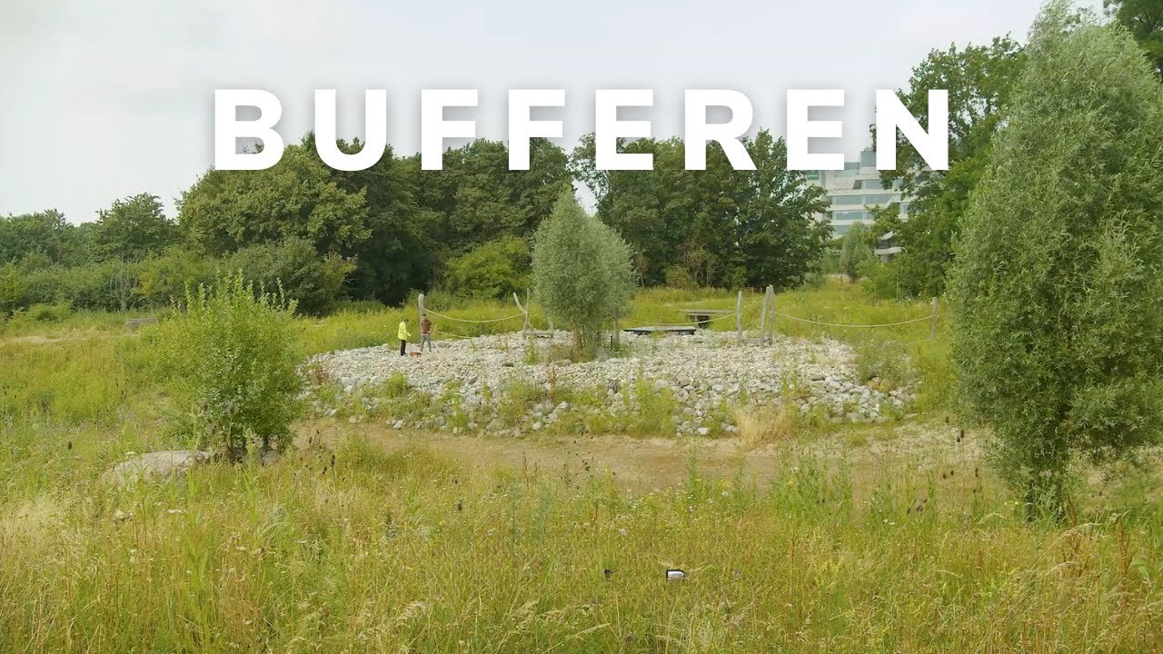 Regenwater bufferen en hergebruiken