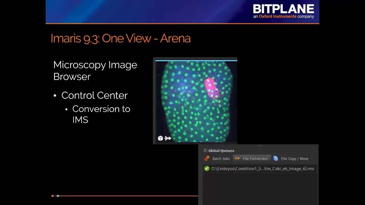 Imaris 9.3 with Microscopy Image Browser and Deconvolution