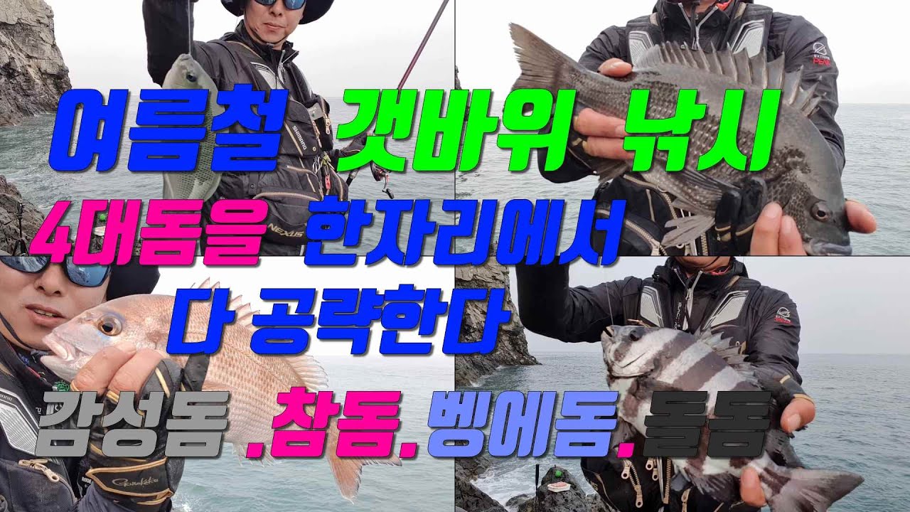 여름철 갯바위 한자리에서4대돔을 공략한다(감성돔 참돔 돌돔 벵에돔)낚시의 채비법및  포인트 설명