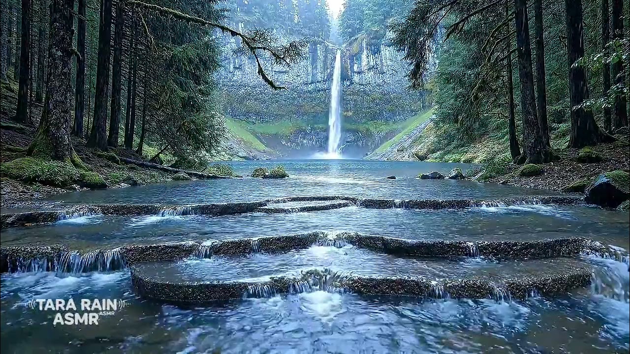 Relaxing Waterfall Sounds in Forest  Peaceful Nature Ambience for Sleep, Study & Stress Relief (4K)