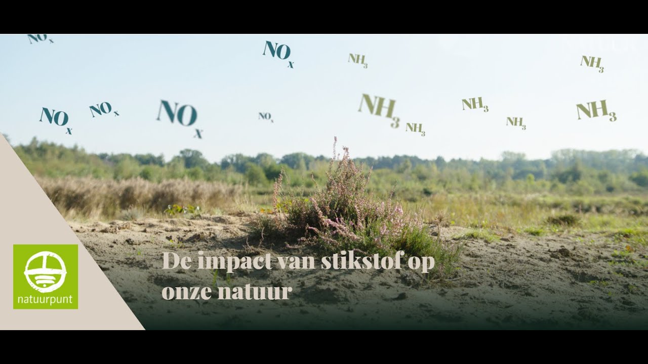 De impact van stikstof op onze natuur