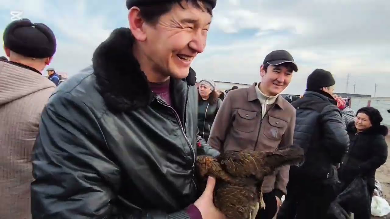 18 ФЕВРАЛЬ  2026 ЖЫЛ КАРАОЗЕК ТАУЫК БАЗАР БАХАЛАРЫ