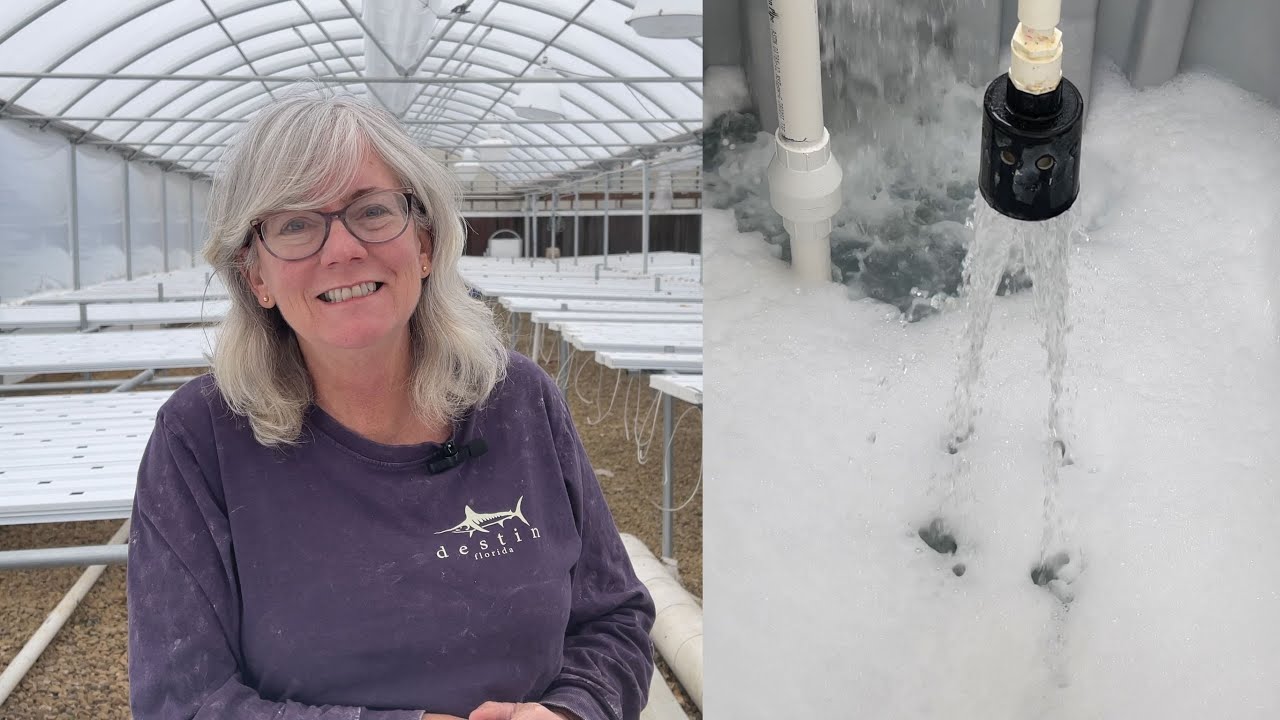 Hydroponic Nutrient Reservoir Cleaning