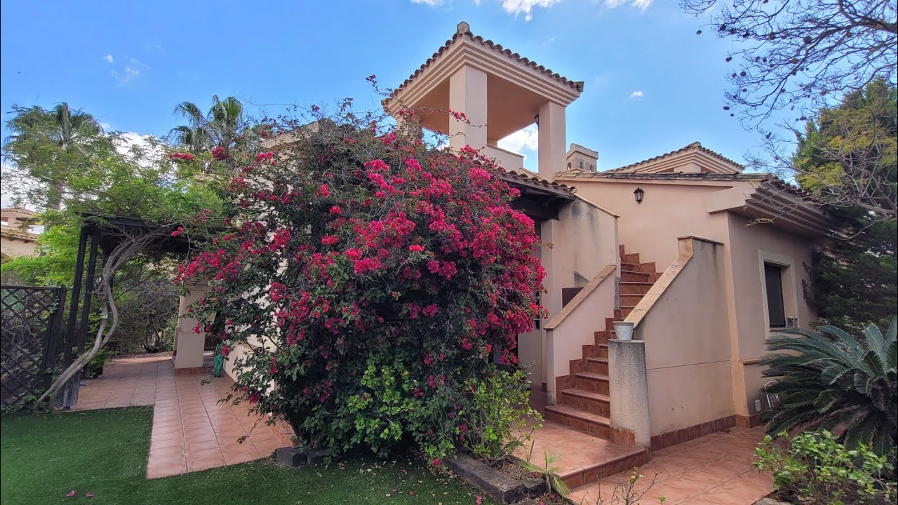 91 Nieuwe levensstijl