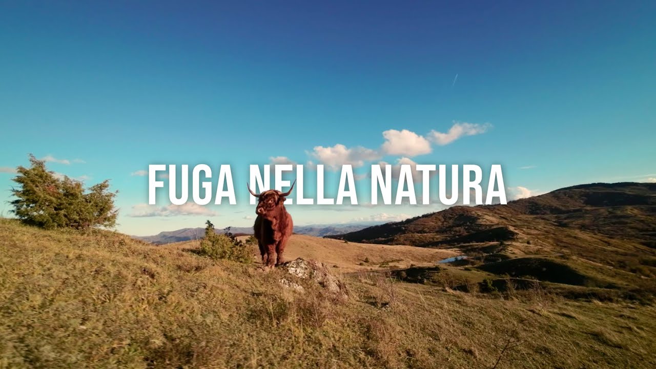 Estate di San Martino sul monte Aserei - drone 4k