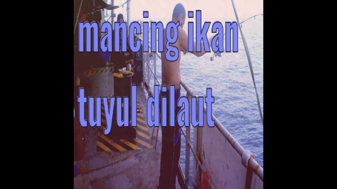 mancing ikan tuyul/tunul di laut