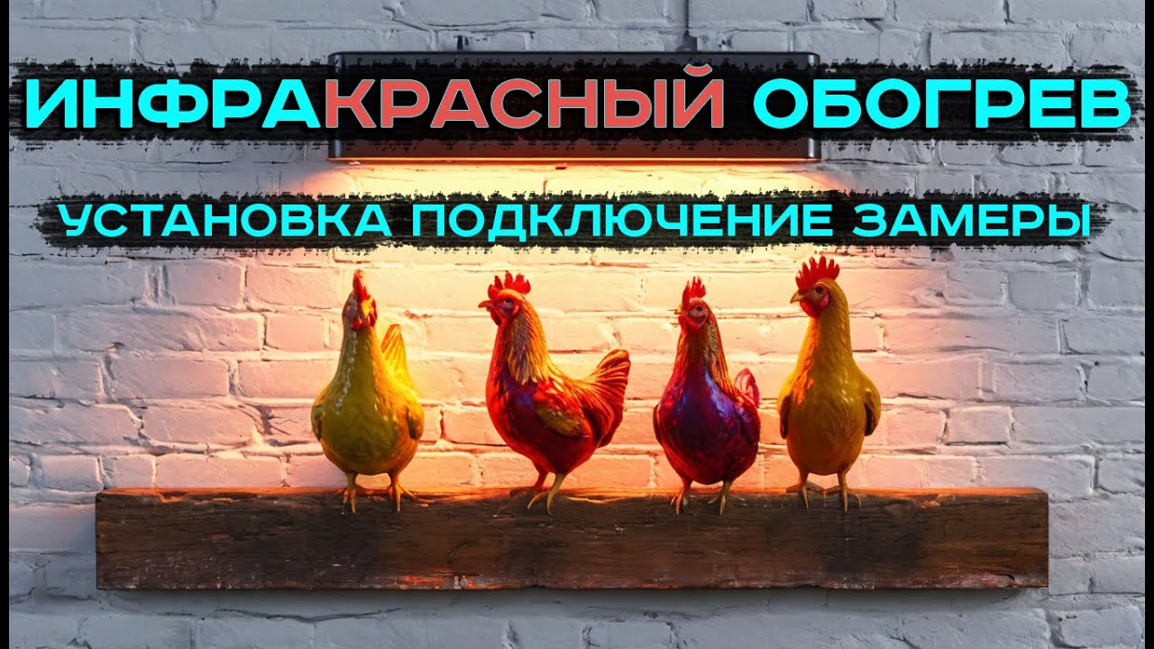 Обогрев курятника. Инфракрасный обогреватель #домуреки #жизньвдеревне #курятник