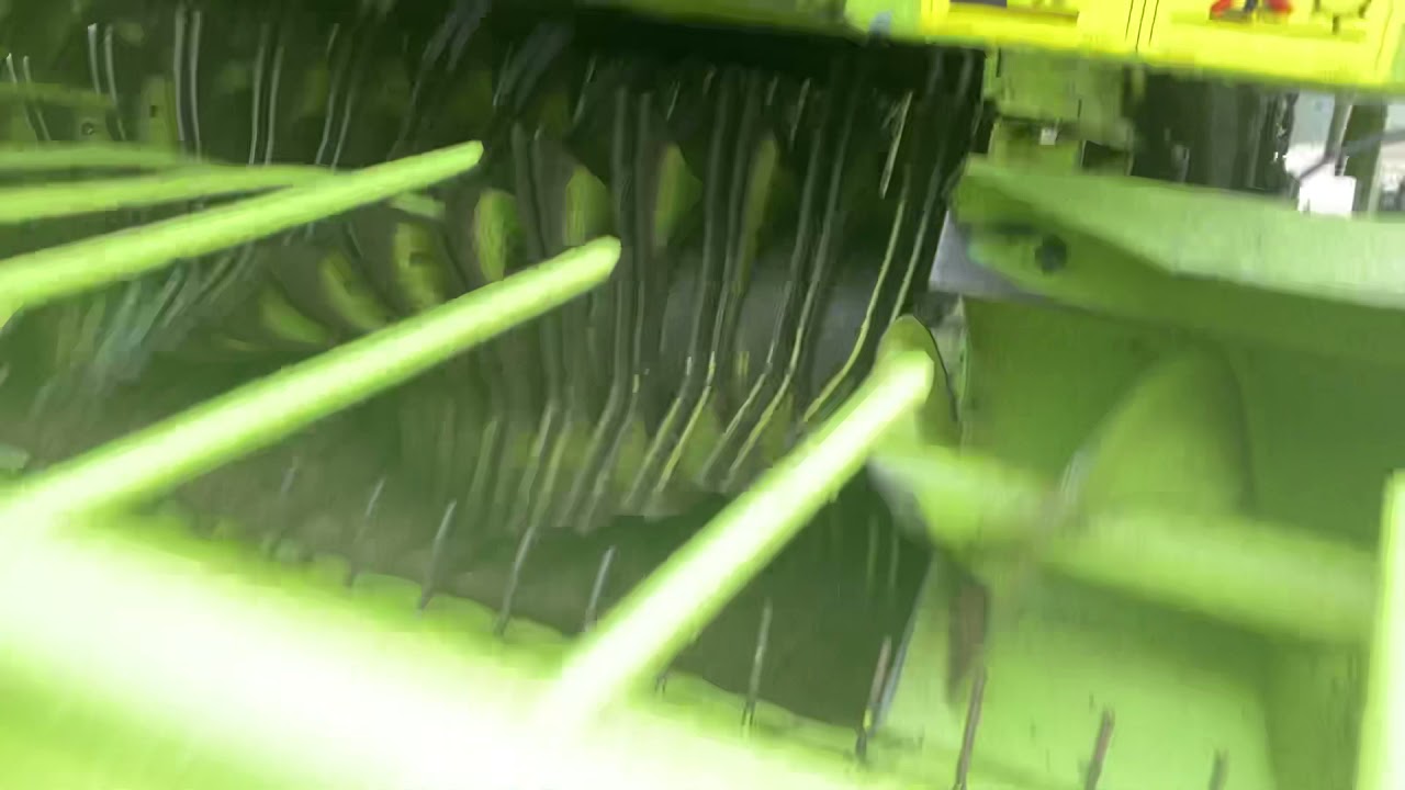 Claas Rollant 255 RotoCut, D&A Kidd LTD, www.dandakidd.co.uk