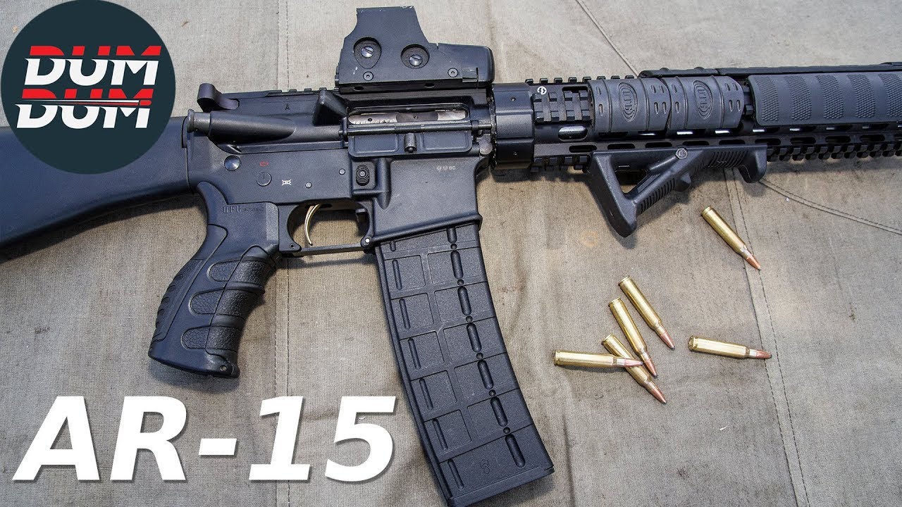 Opis puške Schmeisser AR-15 (gun review, eng subs)