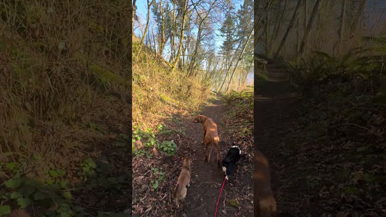 Morning Musings 💕