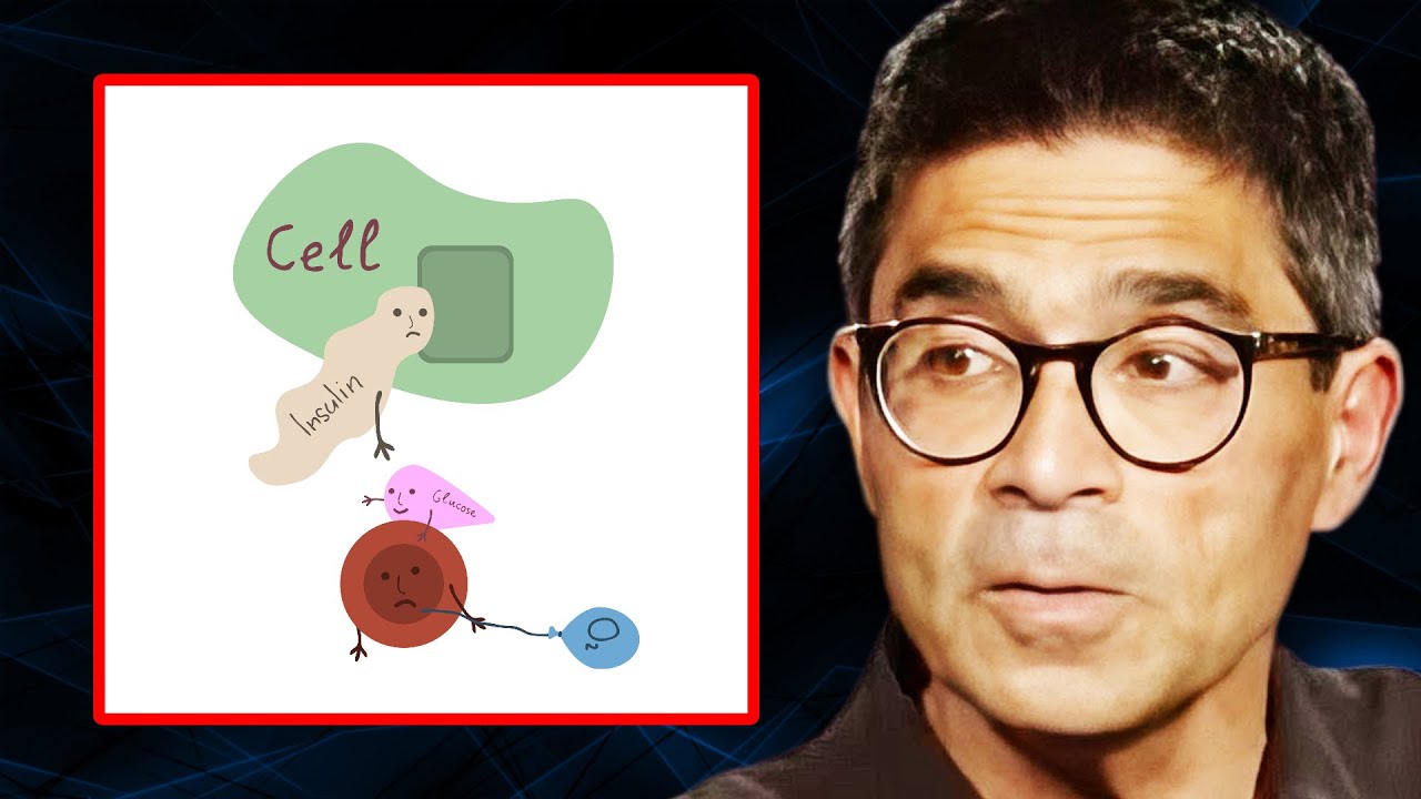 Doctor Reveals the REAL Cause of Insulin Resistance | Dr. Nadir Ali