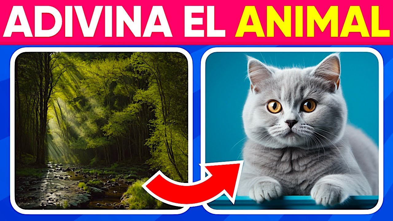 Adivina el Animal Oculto Por La Ilusión🐝🐼🐸  ¿Que tan buenos son tus ojos? 👀 SuperQuiz