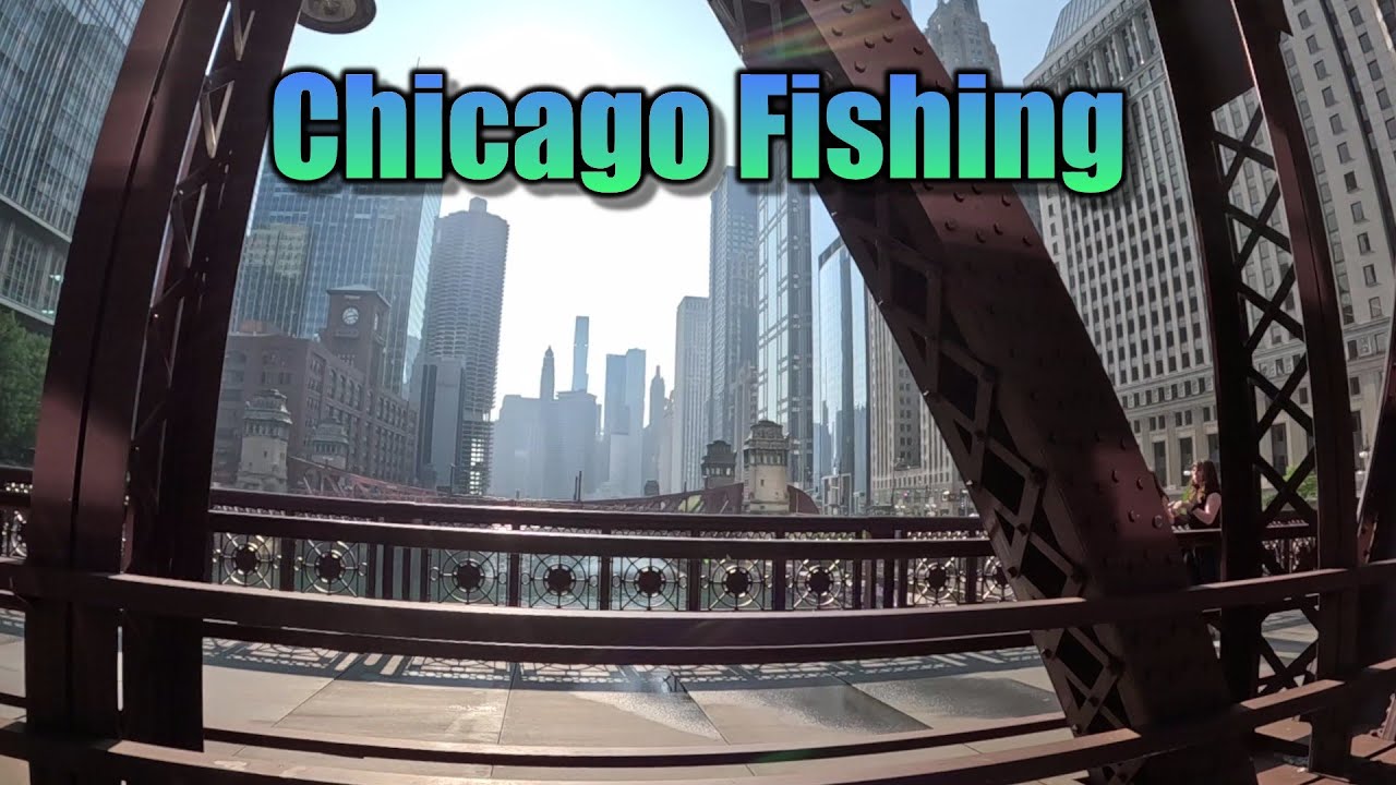 Chicago Carp and Drum Fishing 2025