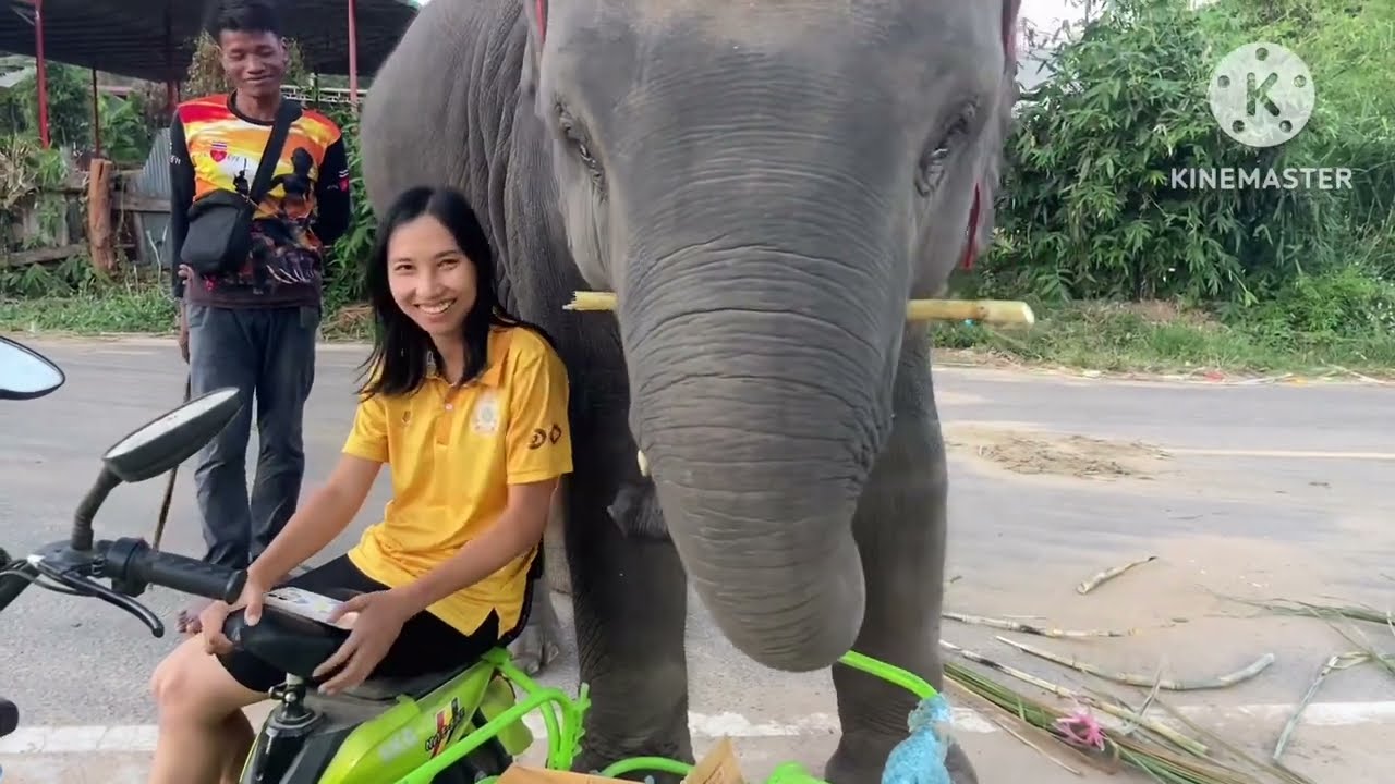 เมื่อครูโ่ช่โดนทำร้าย มาดูอาการอุ้ม