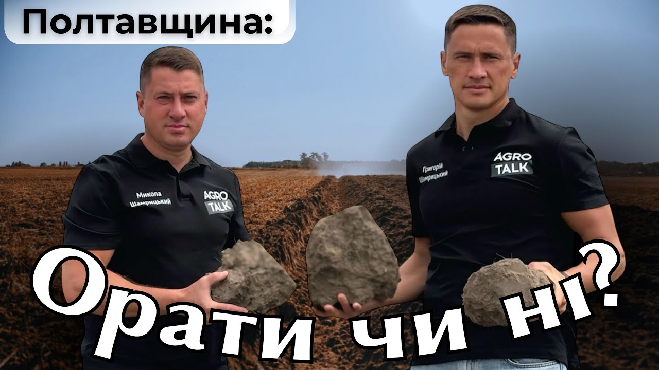 Ріпак без оранки-буде врожай? Як фермери готуються до посіву ріпаку та пшениці?