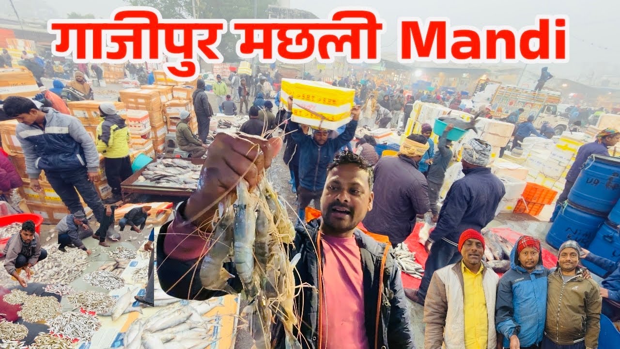 Ghazipur fish market rate today| ghazipur mandi fish market |ghazipur machli mandi|गाजीपुर मछली मंडी