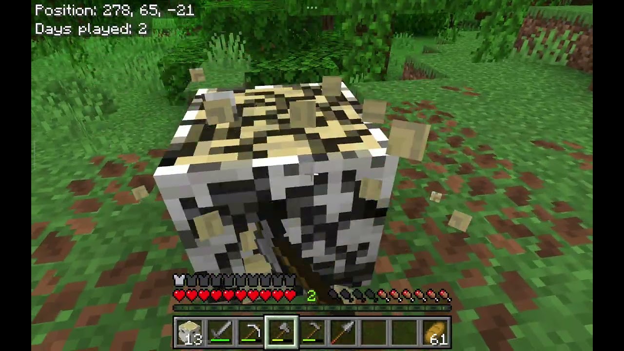 Collecting blocks from home 