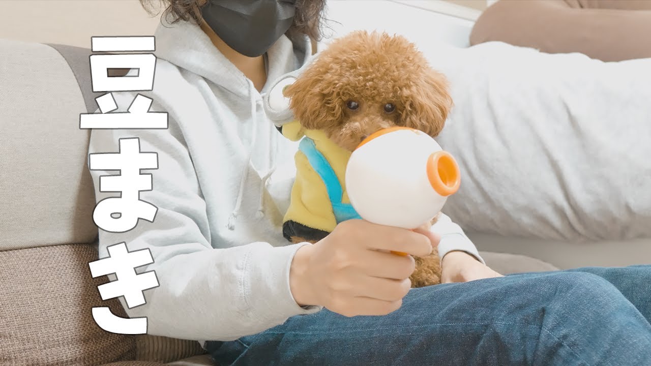 スナックランチャーで豆まきしたら想像と違ったwww