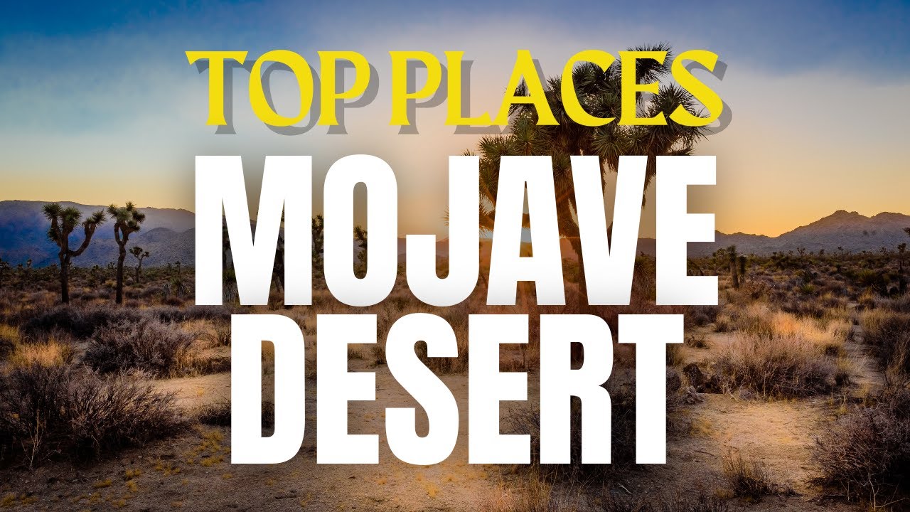 Top 10 Things to do in the Mojave Desert!
